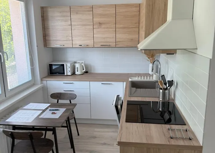 Thurzova Apartment Martin